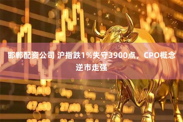 邯郸配资公司 沪指跌1%失守3900点，CPO概念逆市走强
